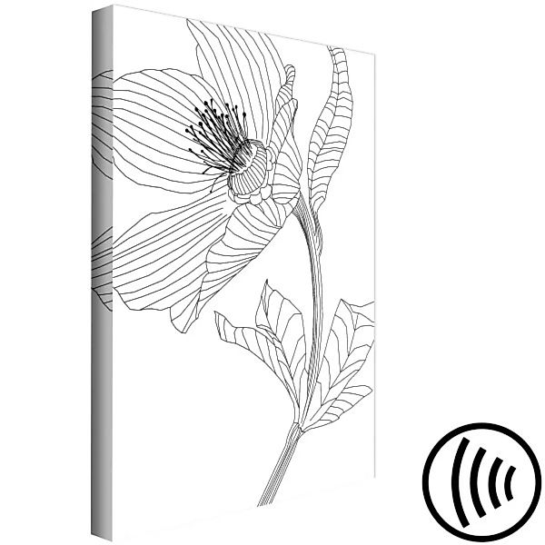Bild auf Leinwand Skizzierte Blume - schwarz-weiße Pflanzenkonturen als Lin günstig online kaufen