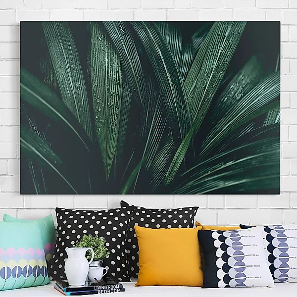 Leinwandbild Botanik - Querformat Grüne Palmenblätter günstig online kaufen