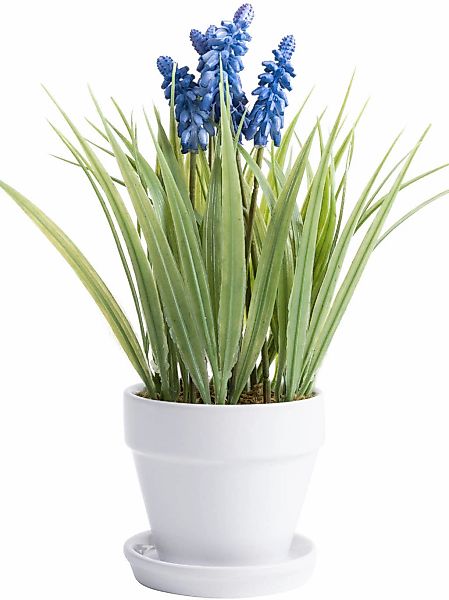 Botanic-Haus Kunstblume "Muskari getopft" günstig online kaufen
