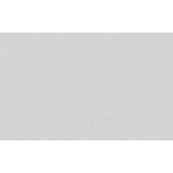 ERFURT Papiertapete Rauhfaser SPRINT, 20 m günstig online kaufen