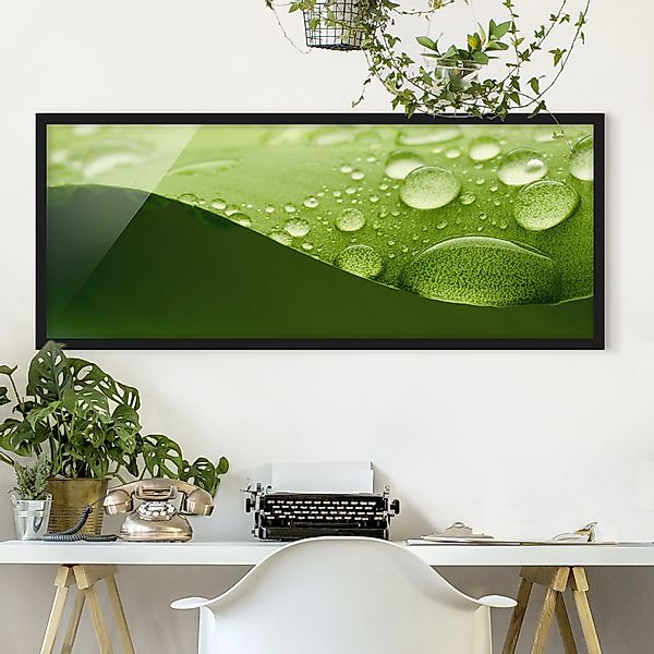 Bild mit Rahmen - Panorama Drops of Nature günstig online kaufen