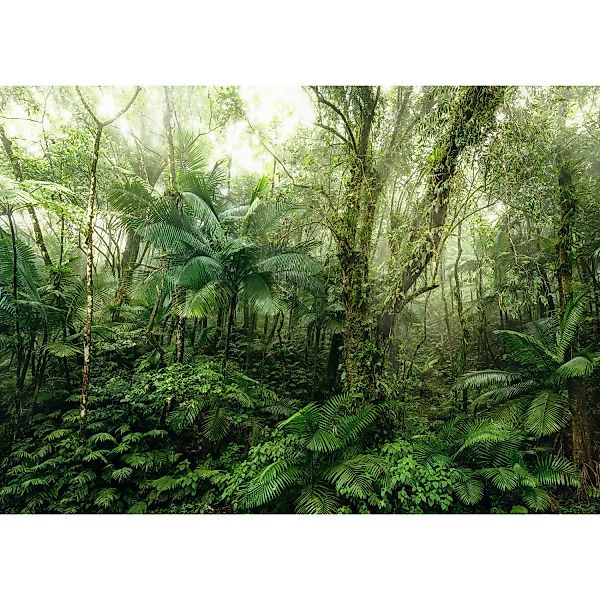 KOMAR Vlies Fototapete - Mindfulness  - Größe 350 x 250 cm mehrfarbig günstig online kaufen