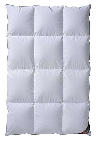 daunen-federn.de Gänsedaunenbettdecke Daunendecke 3x4 Kassetten 100 % Gänse günstig online kaufen