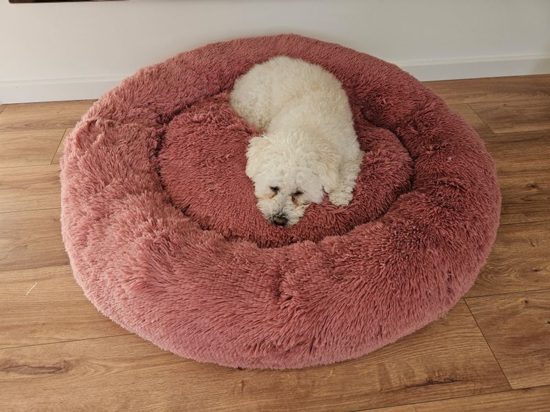 Pamek Hundekorb küscheliges Tierbett Hunde-Himmel Plüsch günstig online kaufen