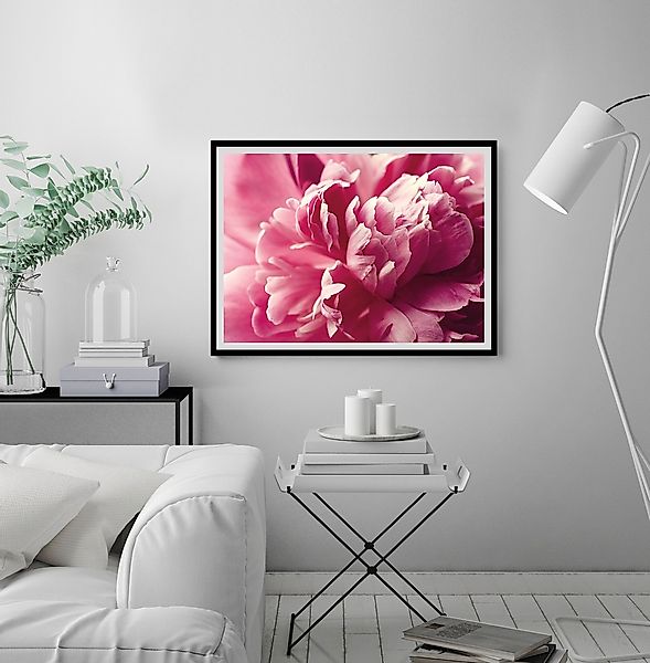 queence Bild »Andreas«, Blumen, Rosen, gerahmt günstig online kaufen