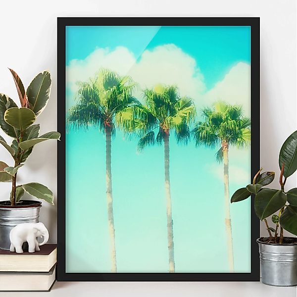 Bild mit Rahmen Natur & Landschaft - Hochformat Palmen vor Himmel Blau günstig online kaufen