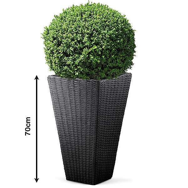 Blumentopf Sand Polyrattan-Optik 70x40x40cm günstig online kaufen