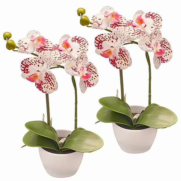 Creativ green Kunstorchidee "Orchidee Phalaenopsis", im Design-Topf günstig online kaufen