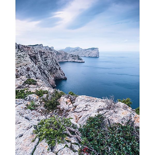 Komar Fototapete Vlies Bizarre Coast  200 x 250 cm günstig online kaufen