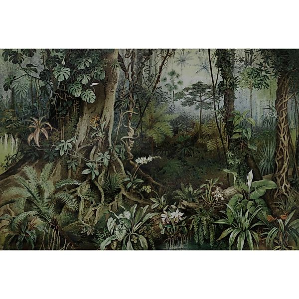 Fototapete Dschungel Urwald Grün Beige 4,00 m x 2,70 m FSC® günstig online kaufen
