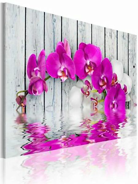 artgeist Wandbild Harmonie: Orchidee mehrfarbig Gr. 60 x 40 günstig online kaufen