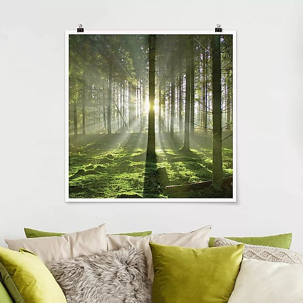 Poster Natur & Landschaft - Quadrat Spring Fairytale günstig online kaufen
