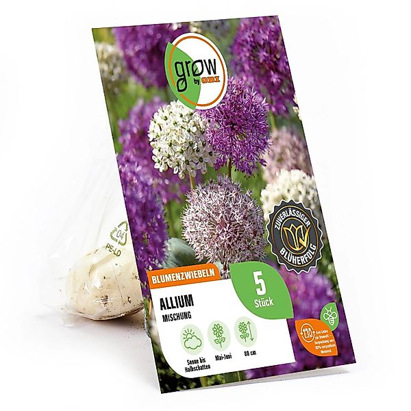 GROW by OBI Zierlauch Purple Sensation Mischung 5 Stück Allium günstig online kaufen
