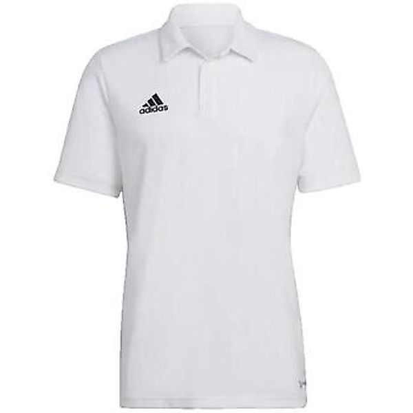 adidas  Poloshirt Polo  Entrada 22 manches courtes blanc günstig online kaufen