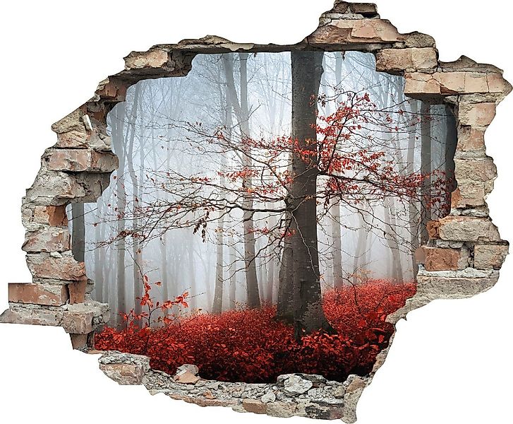 queence Wandtattoo Wald im Herbst (1 St), Wandsticker, Wandbild, selbstkleb günstig online kaufen