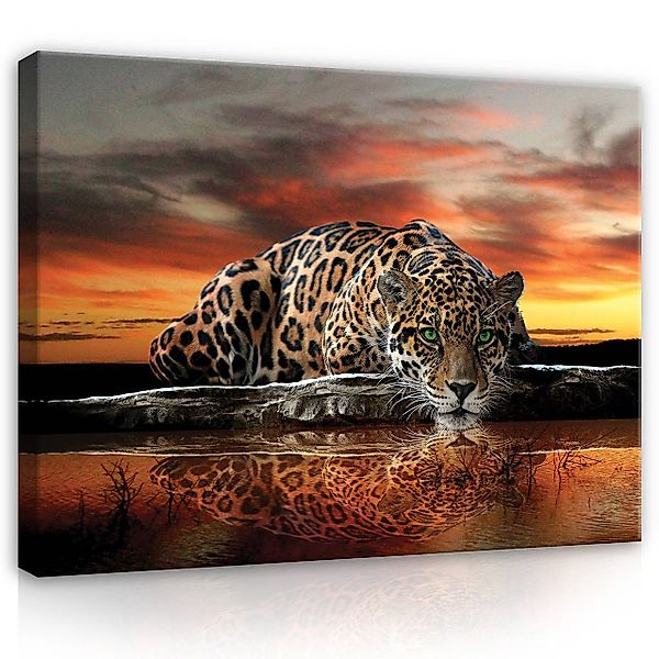 Wallarena Leinwandbild Tiger Tiere Afrika Natur günstig online kaufen