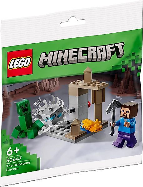 LEGO® LEGO 30647 Minecraft - Die günstig online kaufen