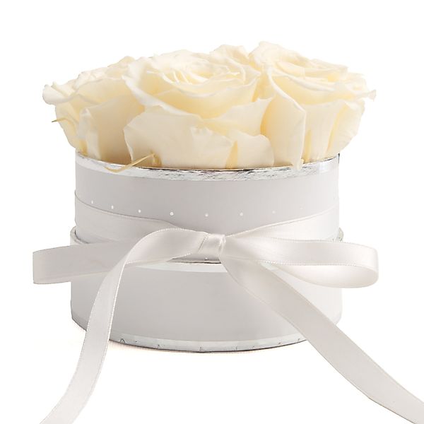 Kunstblume Infinity Rosenbox weiß rund 4 günstig online kaufen