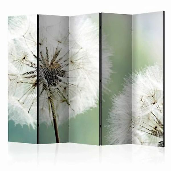 artgeist Paravent Two dandelions II [Room Dividers] mehrfarbig Gr. 225 x 17 günstig online kaufen