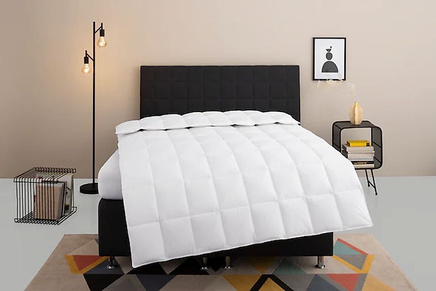 my home Daunenbettdecke »Nobyn, Bettdecke 135x200 cm und 155x220 cm« normal günstig online kaufen