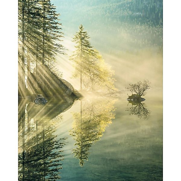 Komar Fototapete Vlies Indulgence of Beauty  200 x 250 cm günstig online kaufen