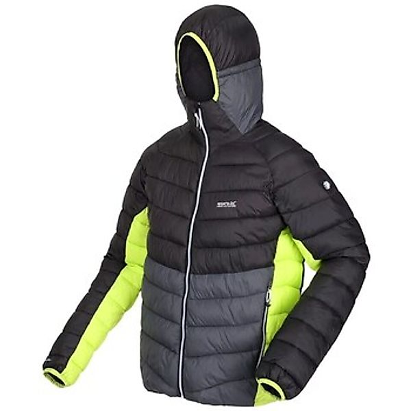 Regatta Allwetterjacke Wanderjacke Harrock (wasserabweisend, gesteppt) günstig online kaufen