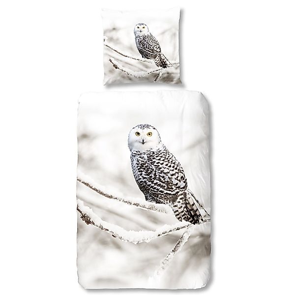 good morning Bettwäsche 6221 Snowy Owl günstig online kaufen