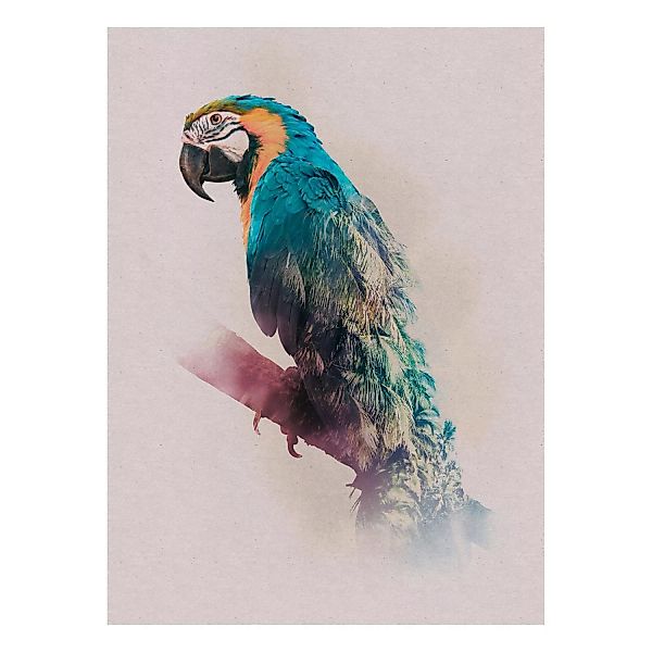 Komar Wandbild Animals Paradise Parrot 30 cm x 40 cm günstig online kaufen