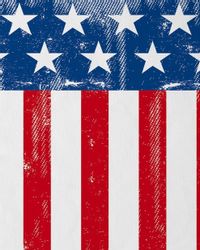 style3 T-Shirt US Flagge vereinigte staaten günstig online kaufen