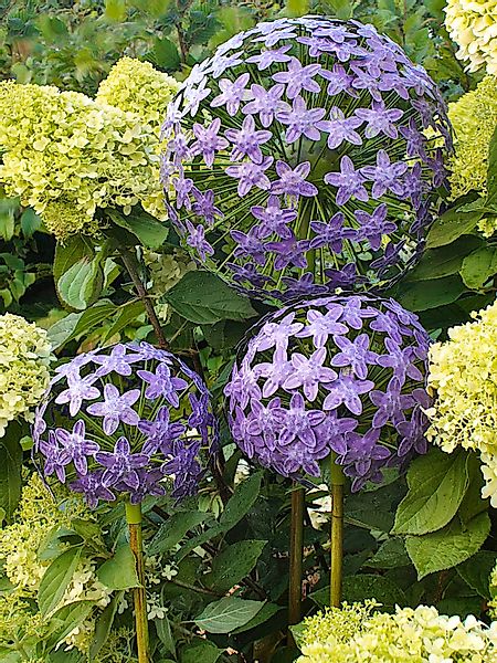 Paulslandhaus Gartenstecker Pflanzstecker Allium Lila Grün günstig online kaufen