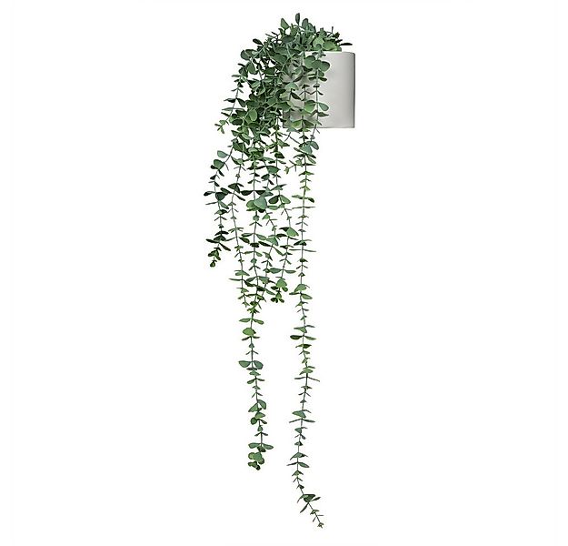 Kunstpflanze Kunstpflanze EUCALYPTUS CLIMB Kunststoff Eukalyptus, hjh OFFIC günstig online kaufen