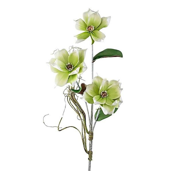 Kunstblume Foam Flower, formano, Höhe 105 cm, Höhe: 105cm, Farbe: Grün, Mot günstig online kaufen