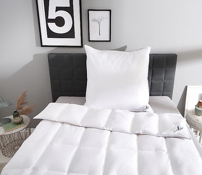 OBB Daunenbettdecke + Kopfkissen Decke mit Kissen 135x200 oder 155x220 cm, günstig online kaufen