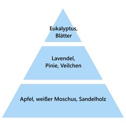 MAISON BERGER PARIS Duftkerze günstig online kaufen