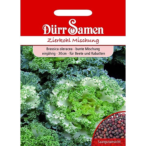 Dürr Samen Zierkohl Bunte Mischung Einjährig Saatgut günstig online kaufen
