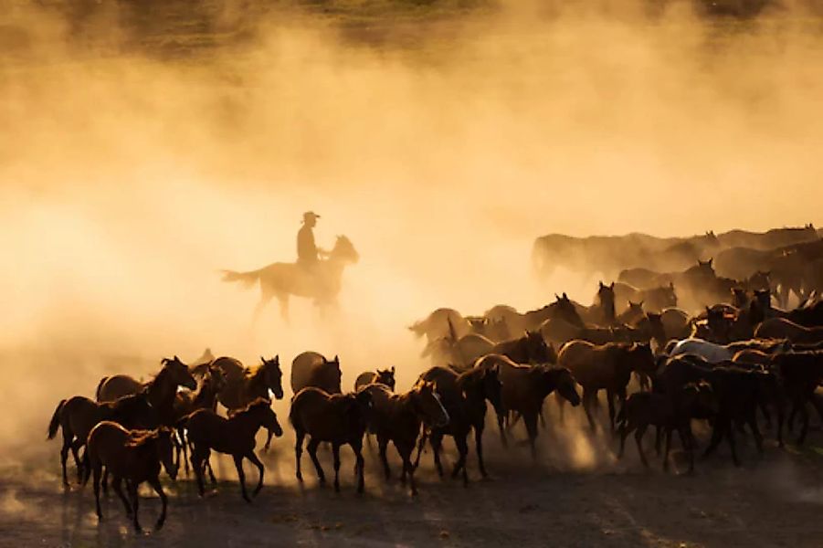 Papermoon Fototapete »Cowboy mit Herde« günstig online kaufen