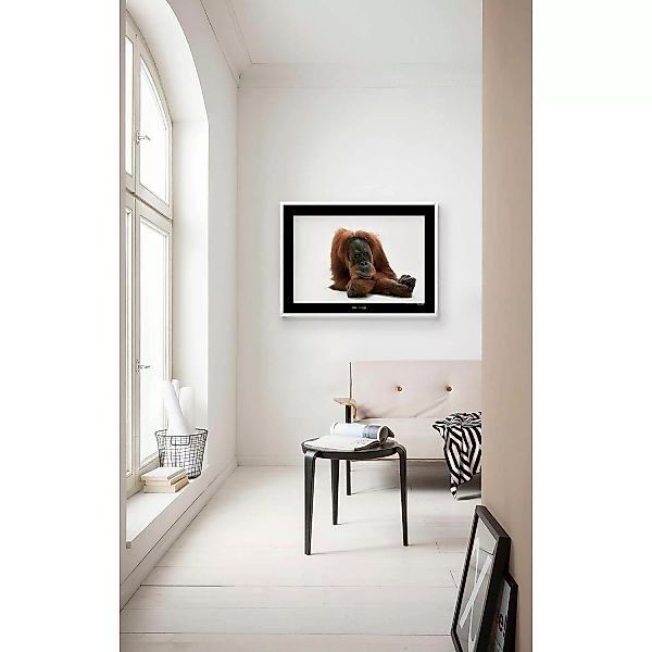 KOMAR Wandbild - Sumatran Orangutan - Größe: 70 x 50 cm mehrfarbig Gr. one günstig online kaufen