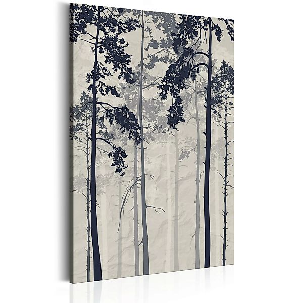 Wandbild - Forest In Fog günstig online kaufen