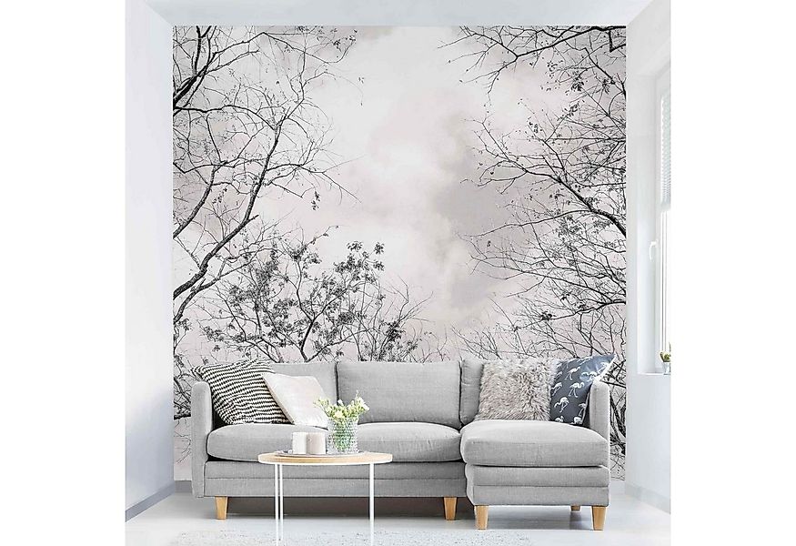 Bilderdepot24 Fototapete Wald Baumkronen Himmel Warmgrau Natur Landschaft W günstig online kaufen