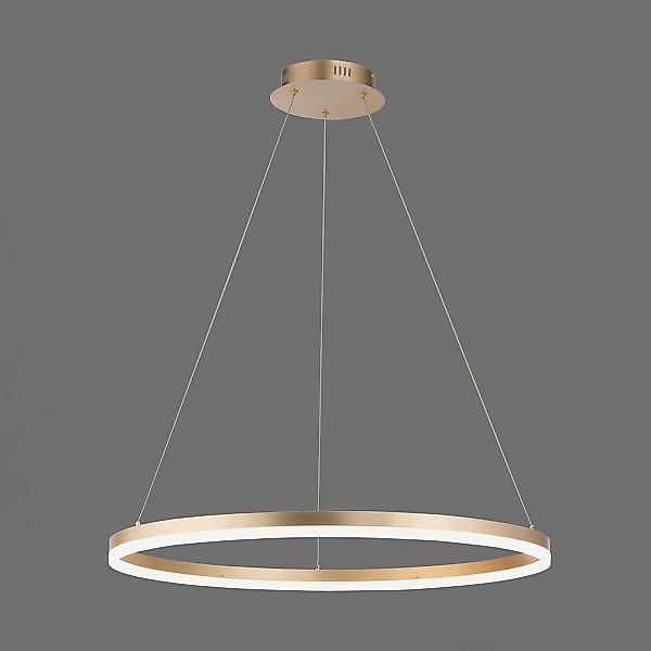 Paul Neuhaus LED-Hängelampe Titus, Ø 80 cm, messing, dimmbar günstig online kaufen