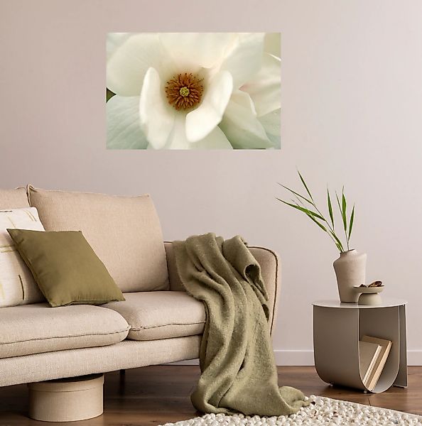 queence Wandsticker "White Love" Selbstklebend, kinderleichte Anbringung günstig online kaufen
