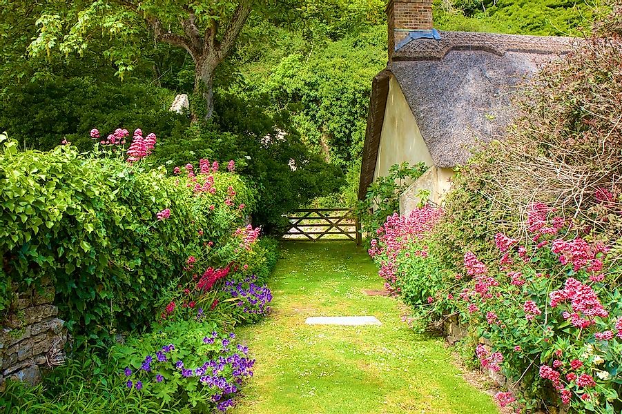 Papermoon Fototapete "GARTEN-BLUMEN BÄUME PFLANZEN STEINE WALD PERGOLA BLÜT günstig online kaufen