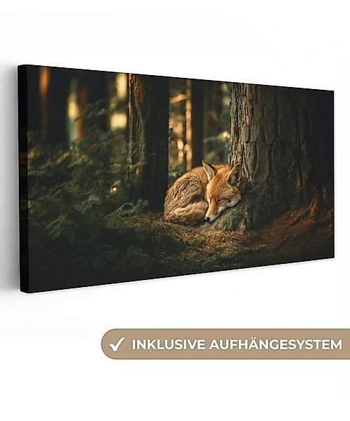 OneMillionCanvasses® Leinwandbild Panorama Fuchs - Wald - Schlaf, Fotodruck günstig online kaufen