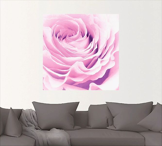 Artland Wandbild »Pastell Rose«, Blumen, (1 St.) günstig online kaufen