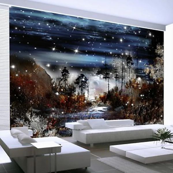 artgeist Fototapete Nacht im Wald mehrfarbig Gr. 150 x 105 günstig online kaufen