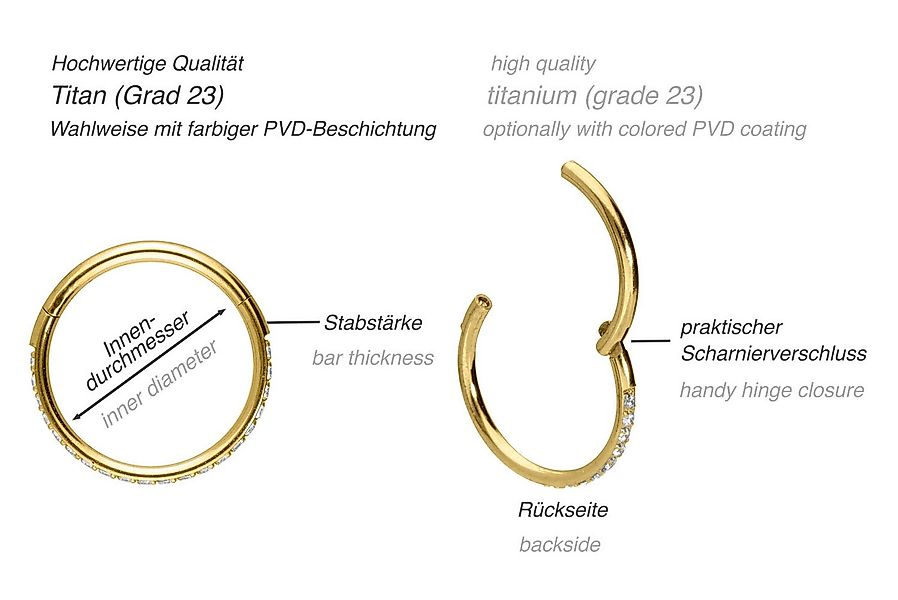 PIERCINGLINE Nasenpiercing Titan Segmentring Clicker EINGEFASSTE KRISTALLE günstig online kaufen