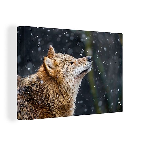 OneMillionCanvasses® Leinwandbild Wolf - Fell - günstig online kaufen