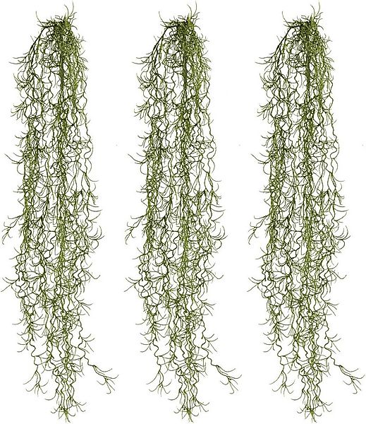 Kunstzweig Hängezweig Tillandsie, Creativ green, Höhe 80 cm, in schöner Grö günstig online kaufen