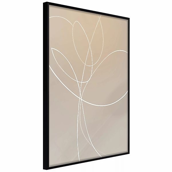 Poster - White Tulip günstig online kaufen