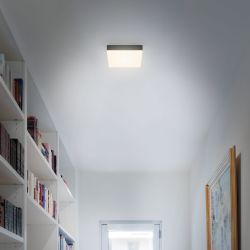 Briloner Leuchten Aufbauleuchte Flame, LED fest günstig online kaufen